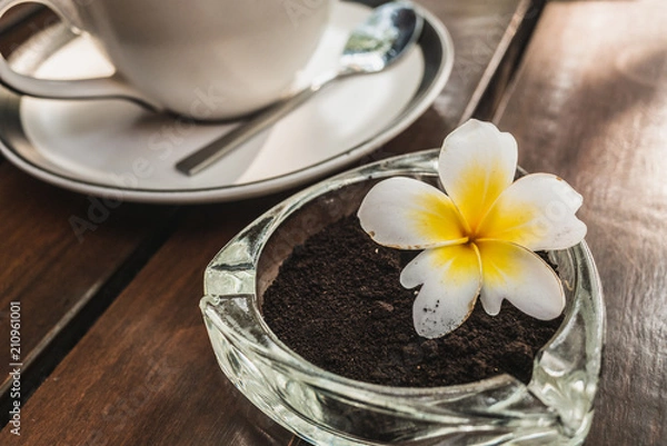 Fototapeta The coffee is used as an ashtray made from crumbed coffee beans because it deodorizes and reduces waste.