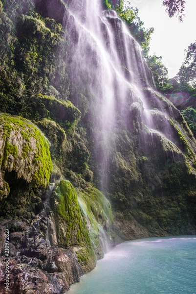 Obraz Tumalog Falls, Oslob, Philippines