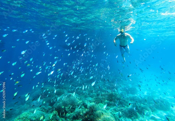 Fototapeta Man surrounded by fish whilst snorkelling in Cebu, Phillipines.