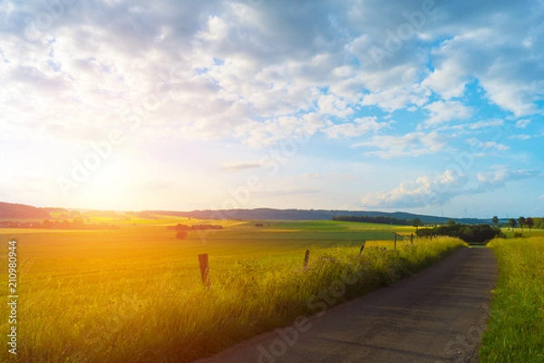 Obraz Road in the middle of a field