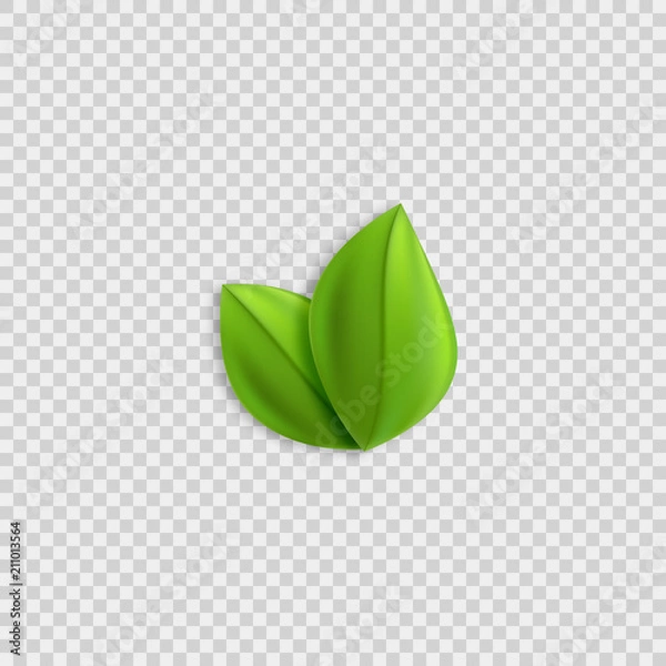 Obraz Fresh green realistic leaves vector design element