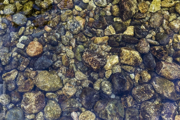 Fototapeta round stones at the bottom of the river under a crystal clear water
