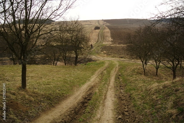 Fototapeta Landscape and sunset