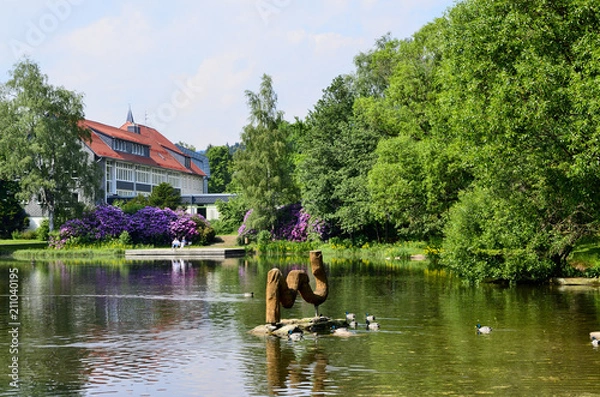 Obraz Kurpark mit See in Braunlage, Harz