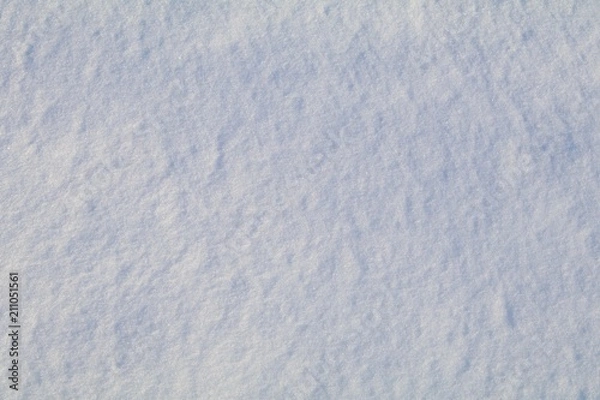 Fototapeta Snowy Texture