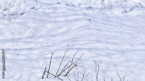 Fototapeta Winter Snow Shadows