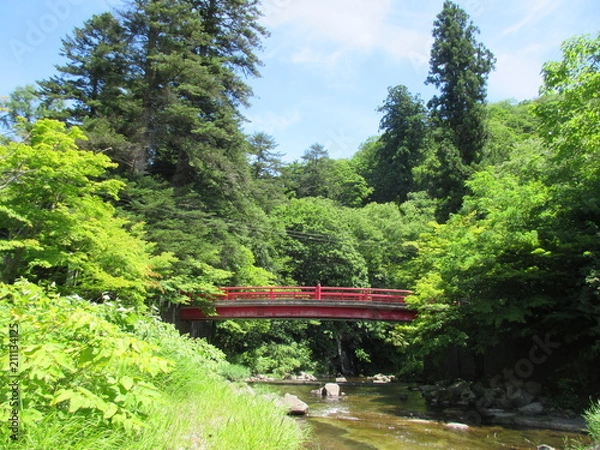 Fototapeta 中野紅葉山