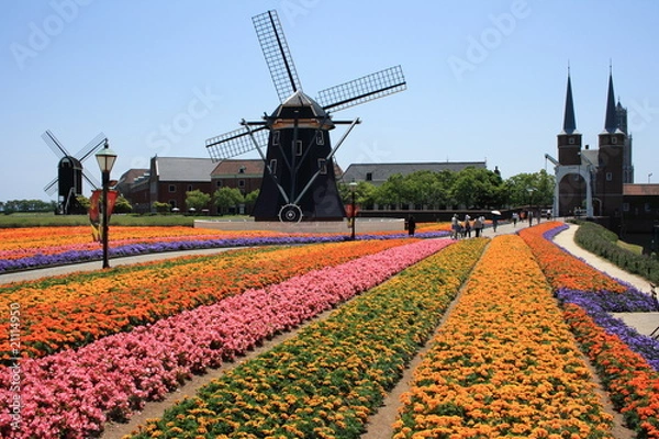 Fototapeta ハウステンボスの花畑