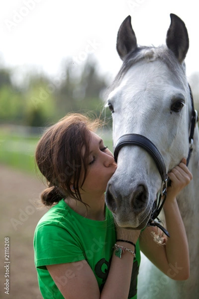 Obraz cavallo Amico 60