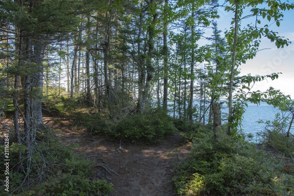 Obraz Wilderness Trail