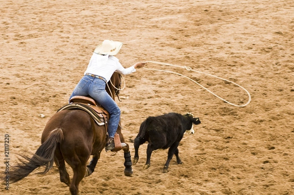 Obraz Breakaway Lanoping