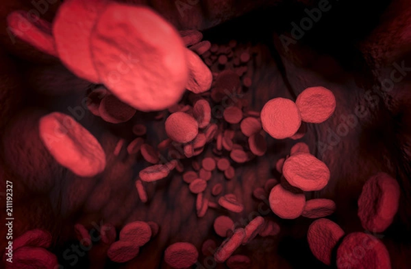 Obraz Blutzellen in der Vene