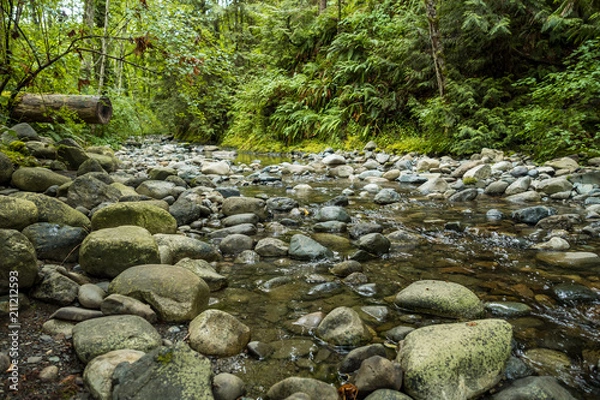 Fototapeta fresh water running through rocky creek surrounded by the trees