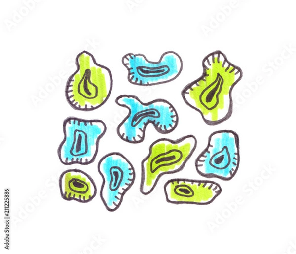 Fototapeta Set of simple abstract lime green and turquoise blue shapes and bubbles painted in highlighter felt tip pen on clean white background