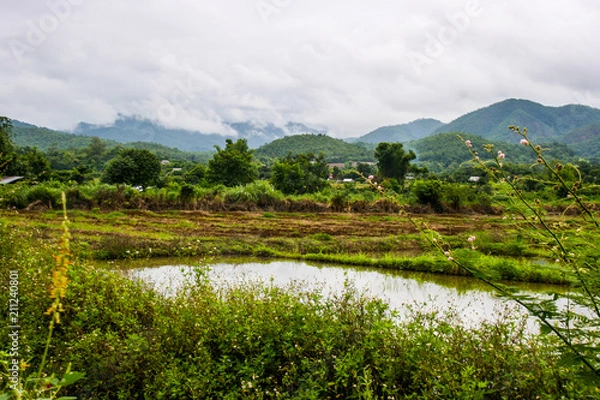 Obraz Farm and scenic view of mountains and sky in northern Thailand.