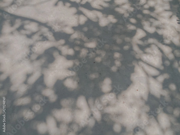 Fototapeta Tree leaves shadow on wall background, Abstract Background Cement Wall Shadow Light Concept