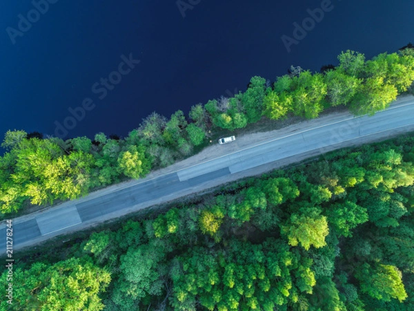 Fototapeta the road along the coast of the Gulf of Finland in the middle of the forest
