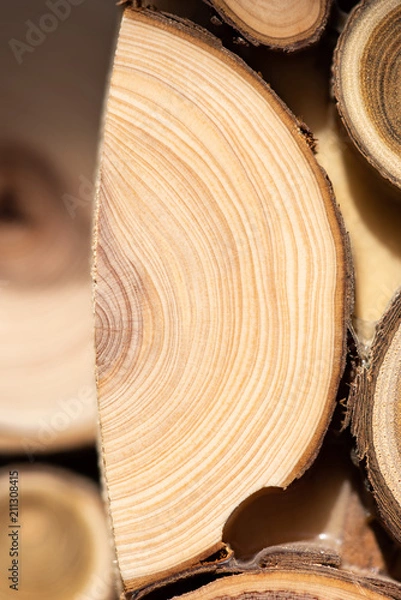 Fototapeta Core of juniper and sandalwood background