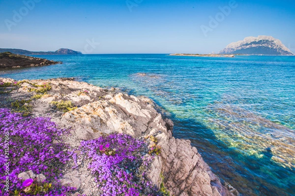 Obraz Côte fleurie en Sardaigne