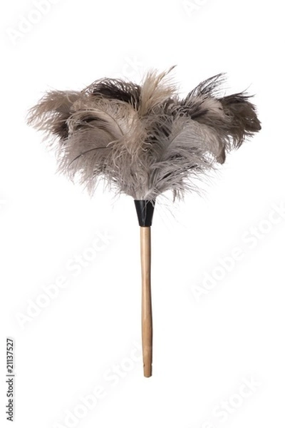 Obraz Ostrich Feather Duster