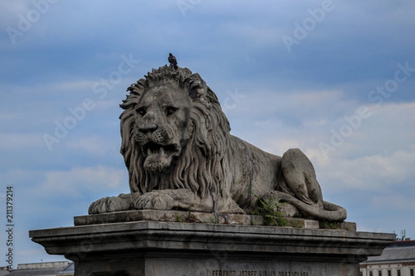 Obraz Budapest Chain Bridge