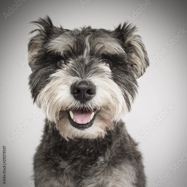 Fototapeta Australia