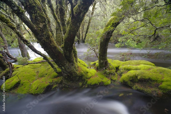 Fototapeta Corin Dimopoulos