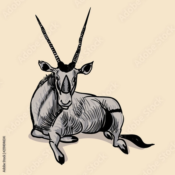 Fototapeta Oryx side view pose. Hand drawn realistic illustrations isolated on background. Vector doodle design. Savannah animals