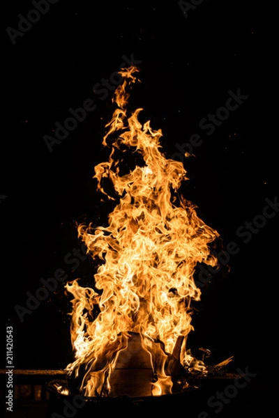Fototapeta Dueling Flames