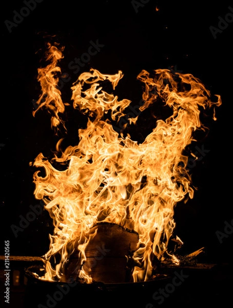 Fototapeta Dueling Flames