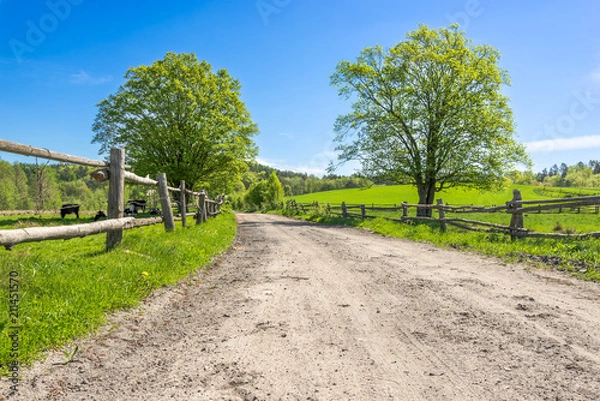 Obraz Countryside scene, pasture in country scenery and dirt road through farm, landscape