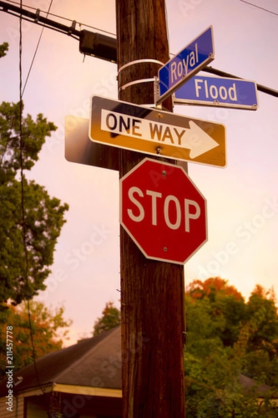 Fototapeta Flood and Royal Street Signs New Orleans Louisiana