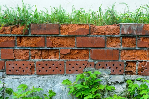 Obraz Overgrown foundation