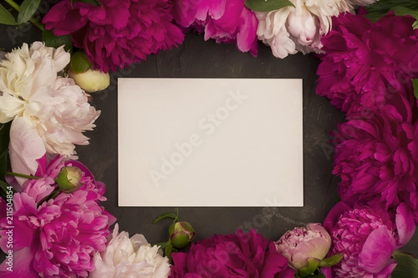 Obraz Greeting card with peony flowers on plaster background.