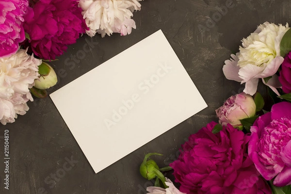 Obraz Greeting card with peony flowers on plaster background.