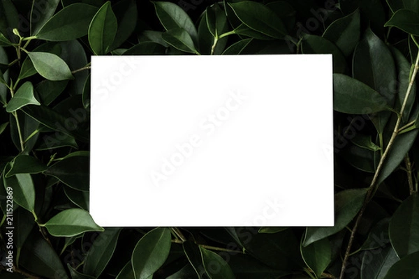 Fototapeta Blank white postcard placed on top of bush (with Clipping Path)