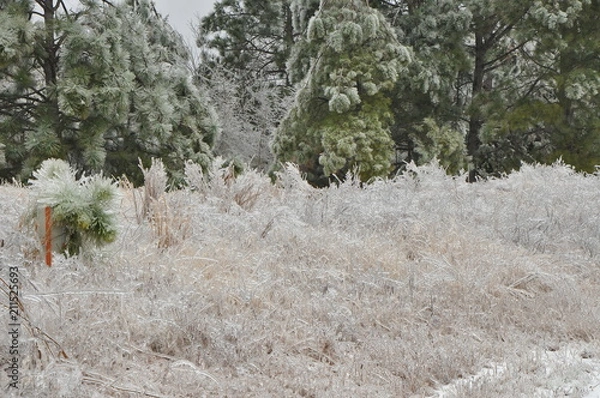 Fototapeta winter glaze