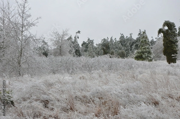 Fototapeta winter glaze