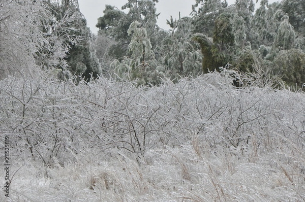 Fototapeta winter glaze