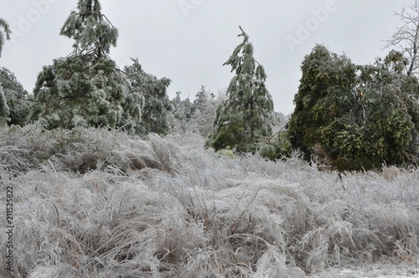Fototapeta winter glaze