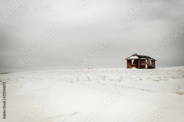 Obraz Little Red House