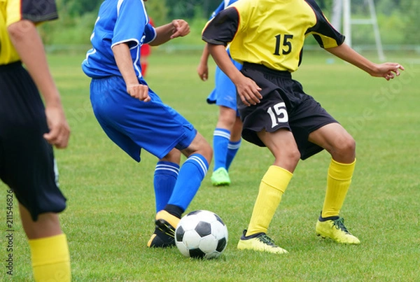 Fototapeta サッカー　フットボール