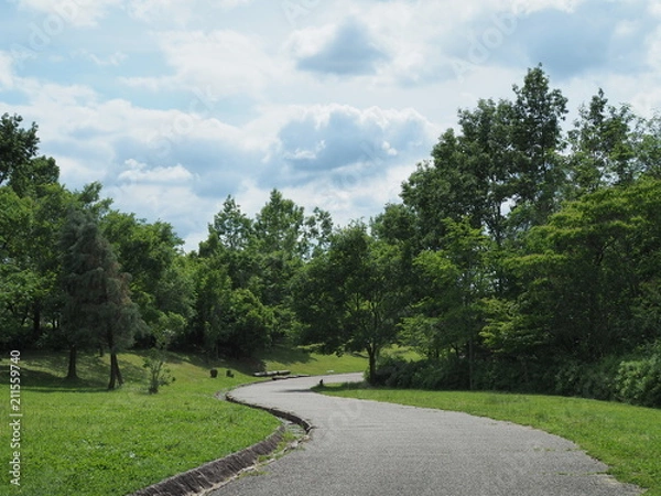 Fototapeta 気持ちの良い森の道