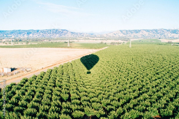 Obraz Hot Air Balloon Shadow