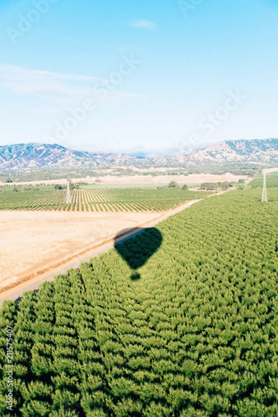 Obraz Hot Air Ballon Shadow