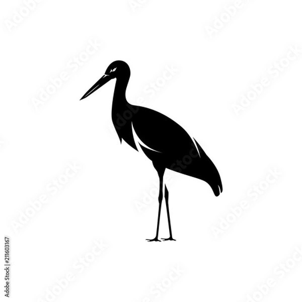 Obraz vector stork silhouette