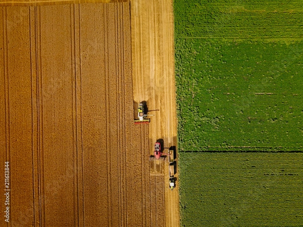 Obraz Pracowity w terenie