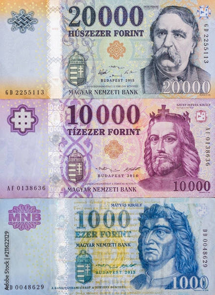 Fototapeta Hungarian forint banknote