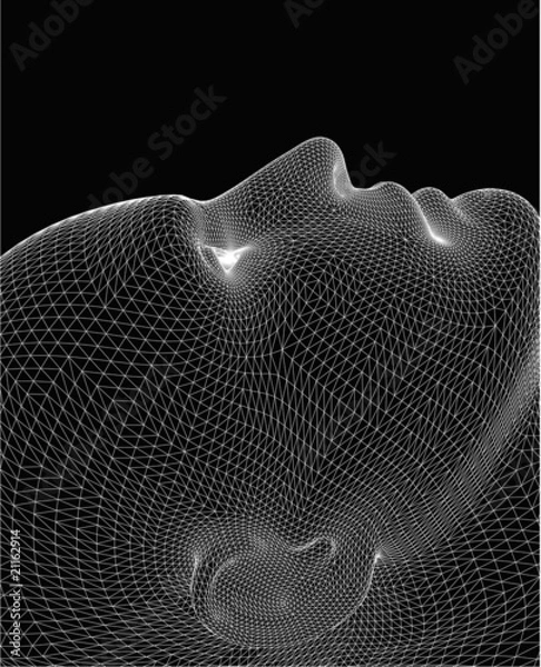 Obraz wireframe head