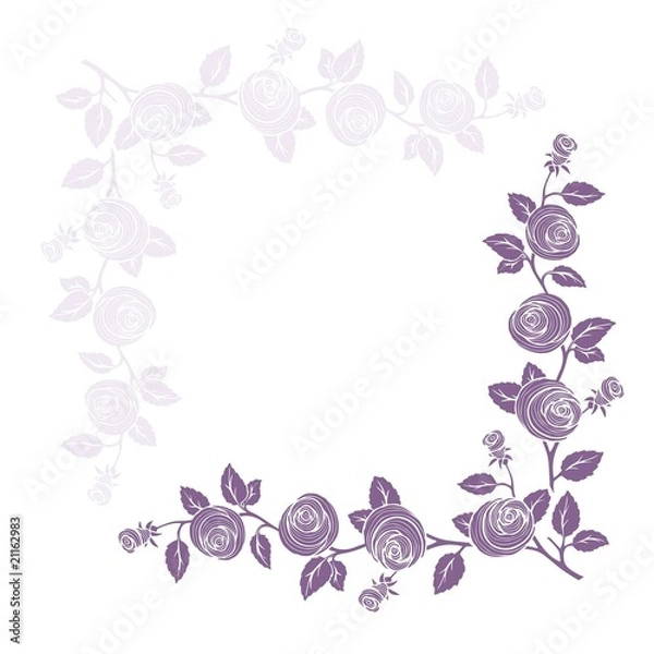 Obraz rose frame